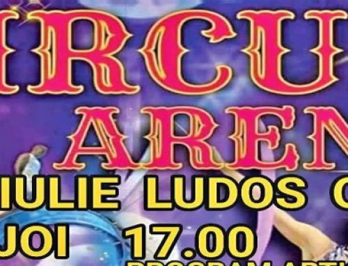 Circul Arena